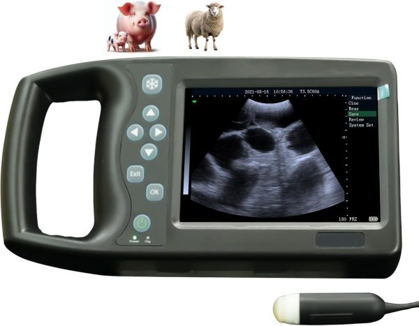M6 Portable Veterinary Ultrasound Scanner 5.7" LED Display for Pregnan...
