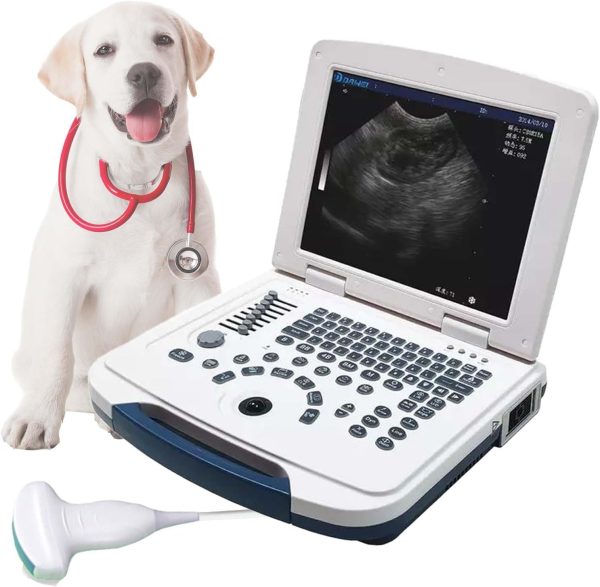 Veterinary Ultrasound Scanner Laptop Ultrasound Machine with 3.5Mhz Co...