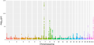 A genome-wide association meta-analysis implicates Hedgehog and Notch signaling in Dupuytren’s disease