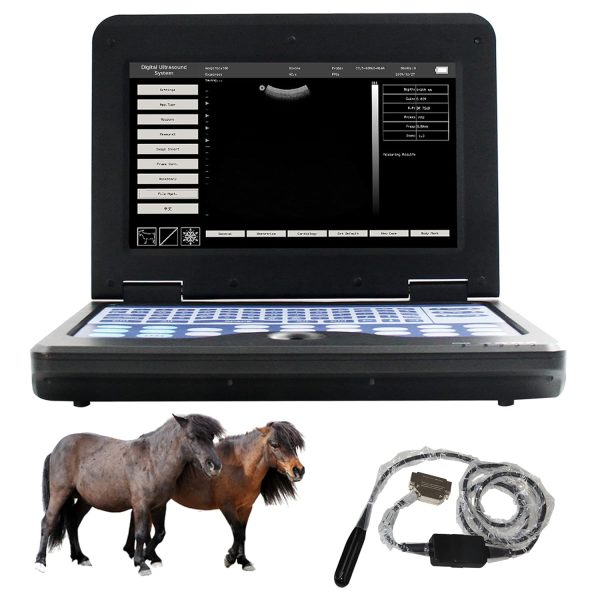CONTEC CMS600P2 Vet Veterinary use Portable Laptop B-Ultra Sound Scann...