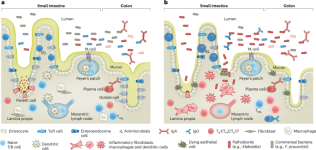 Gene–environment interactions shape the host–microbial interface in inflammatory bowel disease