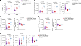 Intrinsic immunogenicity is a major determinant of type-specific responses in SARS-CoV-2 infections