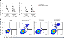 Mutated epitopes in SARS-CoV-2 variants are poorly immunogenic