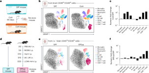 Physiological microbial exposure normalizes memory T cell surveillance of the brain and modifies host seizure outcomes
