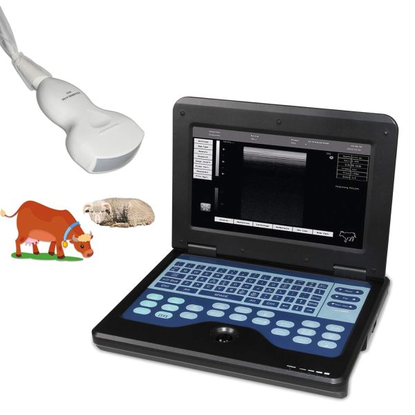 Portable Vet/Veterinary B-Ultrasound Scanner with 3.5Mhz Convex Probe ...