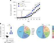Resistance to anti-PD-1 therapy is driven by CD30+ regulatory T cell activity