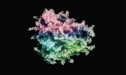 Targeting TNF to treat Dupuytren’s disease, frozen shoulder and POCD