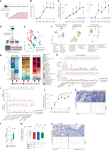 The IL-22–oncostatin M axis promotes intestinal inflammation and tumorigenesis