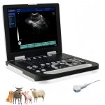 N50 Portable Veterinary Ultrasound Machine for Pregnancy, 15-Inch LCD …