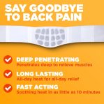 ThermaCare Advanced Back & Hip HeatWraps – Long-Lasting, Disposable He…