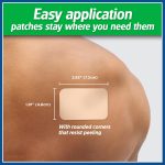 Salonpas Pain Relieving Patch for Back, Neck, Shoulder, Knee Pain and …