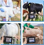 Portable Ultrasound Machine for Pregnancy – with 3.5MHz Convex Probe &…