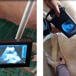 Portable Ultrasound Machine – 3.5Mhz Mechanical Probe Handheld B-Ultra…