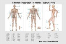 HiDow XPD Dual Channel TENS EMS Unit 12 Modes Muscle Stimulator Pain R…