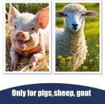 M6 Portable Veterinary Ultrasound Scanner 5.7″ LED Display for Pregnan…