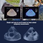 M6 Portable Veterinary Ultrasound Scanner 5.7″ LED Display for Pregnan…