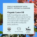 Sky Organics Organic Castor Oil, 100% Pure, Hexane Free, Cold-Pressed …