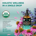 USDA Organic Lymphatic Drainage Supplement – Echinacea | Elderberry | …