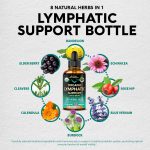 USDA Organic Lymphatic Drainage Supplement – Echinacea | Elderberry | …