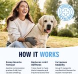 Dr. Frederick’s Original Arthritis Compression Gloves for Women & Men …