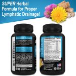 Lymphatic Drainage Supplements Pills – Lymphatic Support Total Herbal …