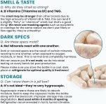 Methyl Multi Without Iron Methylated Multivitamin for Men & Women, 60-…