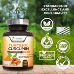Turmeric Curcumin Supplement 1950mg – 95% Curcuminoids with Organic Tu…