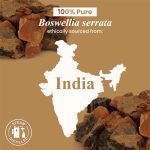 Handcraft Blends Frankincense Essential Oil – Huge 4 Fl Oz – 100% Pure…