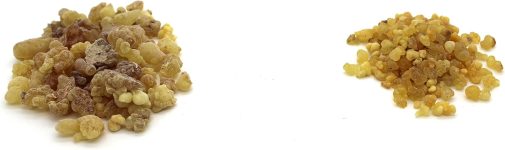 Govinda Frankincense Natural Tree Sap Gum Pea Size 1 lb