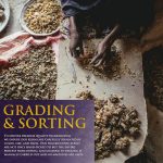 Frankincense Resins | Boswellia Sacra Frankincense Incense |Chruch Inc…