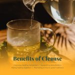 Life by Sublime – Cleanse USDA Organic Mint Green Tea & Yerba Mate, 20…