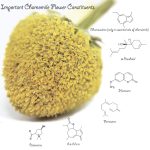 Chamomile Tea 1LB (16Oz) 100% CERTIFIED Organic (USDA seal) Chamomile …