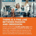 NOW Foods Supplements, Bromelain (Natural Proteolytic Enzyme) 2,400 GD…