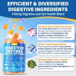 Digestive Enzymes with Probiotic Gummies, Multivitamins, Calcium, Magn…