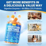 Digestive Enzymes with Probiotic Gummies, Multivitamins, Calcium, Magn…