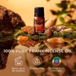Gya Labs Frankincense Essential Oil for Face – 0.34 Fl Oz – 100% Pure …