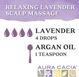 Aura Cacia Discover Essential Oils Kit, 4-Pack, Lavender, Eucalyptus, …