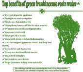 Royal Green Frankincense Hojari from Oman Boswellia Sacra Pure Incense…