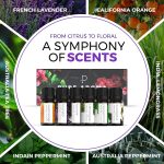 Essential Oils Set by Pure Aroma – Top 6 Aromatherapy Oils Gift Set-6 …