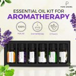 Essential Oils Set by Pure Aroma – Top 6 Aromatherapy Oils Gift Set-6 …