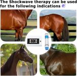 Extracorporal Shockwave Therapy Machine for Pet Animal Pain Relief, Jo…