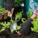 2 Pairs Arthritis Gloves, Compression Gloves Support and Warmth for Ha…