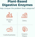 NewRhythm Digestive Enzymes 245 mg, with Probiotics and Prebiotics, Pl…