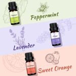 Top 6 Natural Aromatherapy Oils Gift Set, Essential Oils for Diffusers…
