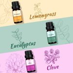 Top 6 Natural Aromatherapy Oils Gift Set, Essential Oils for Diffusers…