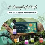 Top 6 Natural Aromatherapy Oils Gift Set, Essential Oils for Diffusers…