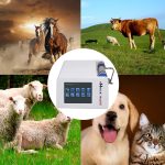 Veterinary ED Shock Wave, Livestock External Electric Massager with 7 …