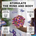 SHASHIBO Meow Wolf Shape Shifting Box – STEM Magnetic Fidget Cube That…