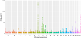 A genome-wide association meta-analysis implicates Hedgehog and Notch signaling in Dupuytren’s disease