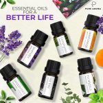 Essential Oils Set by Pure Aroma – Top 6 Aromatherapy Oils Gift Set-6 …